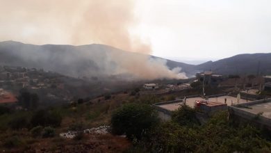 2500 دونم من الأراضي تضررت جراء الحرائق في الريف الغربي في حمص