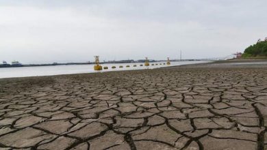 أوروبا تشهد أسوأ موجة جفاف منذ 500 عام و علماء يتوقعون زيادة موجات الحر
