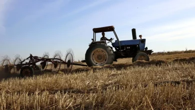 منظمة الأغذية "فاو" تتحدث عن ضرر بالغ لحق بإنتاج سورية من الحبوب