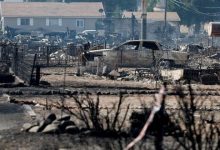 حرائق الغابات في ولاية كاليفورنيا الأميركية تتسبب بتدمير 100 منزل