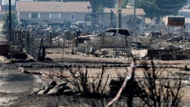 حرائق الغابات في ولاية كاليفورنيا الأميركية تتسبب بتدمير 100 منزل